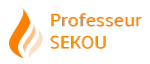 logo-sekou